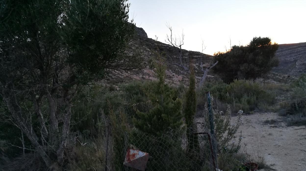 Imagen de la fosa en la que fueron hallados los cadáveres de las niñas de Alcàsser