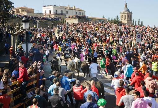 Ciudad Rodrigo festeja este fin de semana el Carnaval del Toro