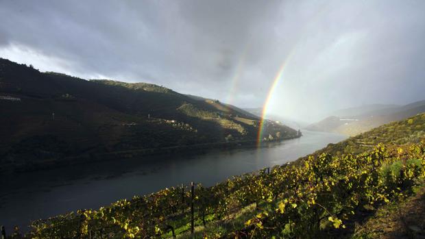 Una guía de vinos y un mapa de recursos, primeras iniciativas para atraer turistas junto a Portugal