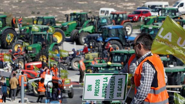 «Esto es una ruina»: unos 2.000 agricultores cortan un tramo de la autovía Alicante-Madrid dos horas