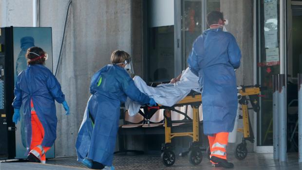 Coronavirus: una empresa valenciana prepara kits para diagnosticar el Covid-19 en cinco horas