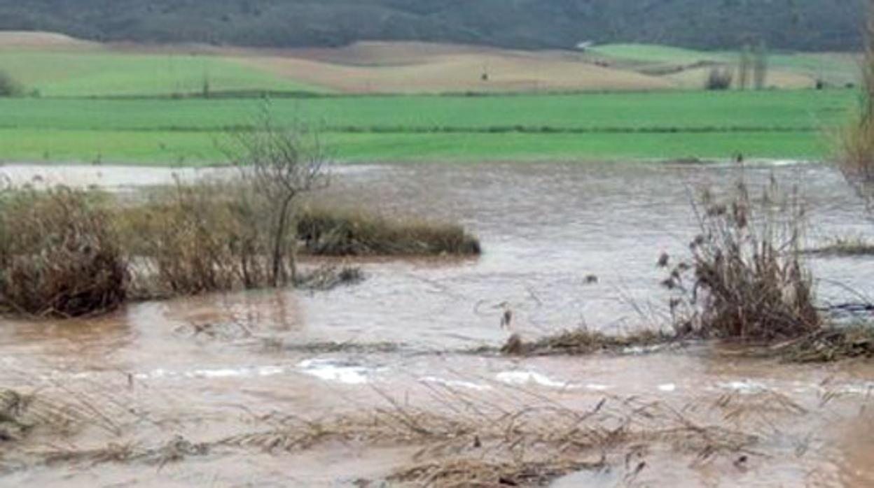 Imagen del río Linares a su paso por la Riba de Saelices, en la provincia de Guadalajara