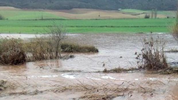 El río Linares se desborda tras las últimas lluvias en Riba de Saelices