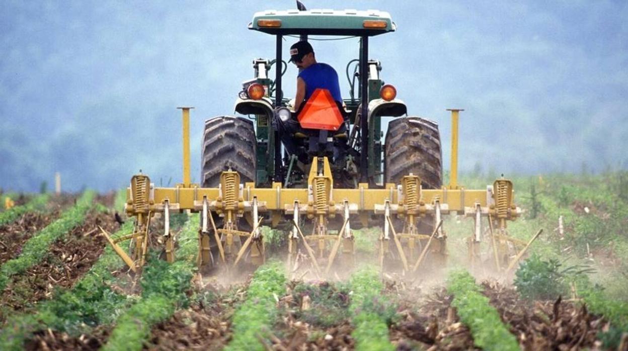 Un agricultor trabaja el campo