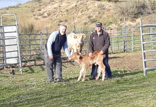 Jorge Izquierdo y su hermano, de LechalColmenar, atienden cada día a casi 4.000 animales