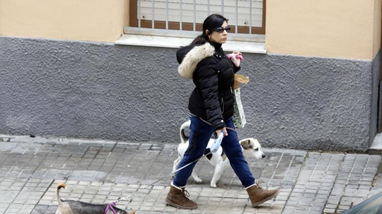 Una mujer pasea dos perros durante el estado de alarma