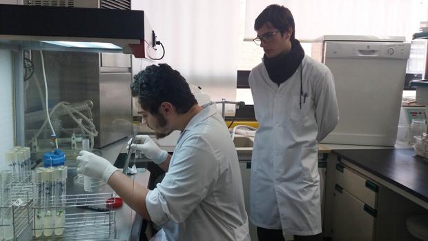 Investigadores de la UCLM colaboran en el diagnóstico del coronavirus