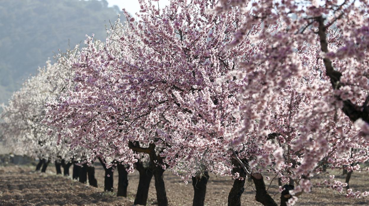 Alejandro J. García Nistal: Primavera 2.0