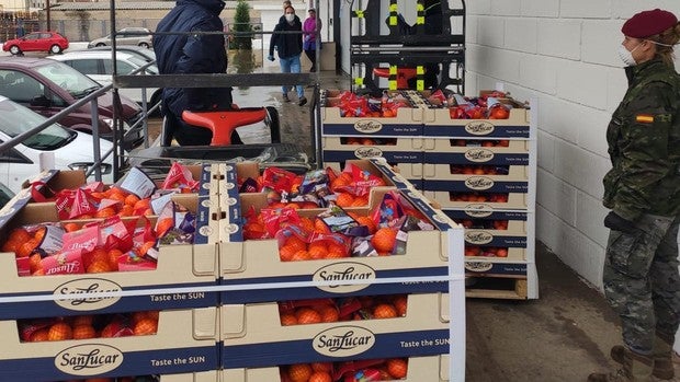 Coronavirus: la Policía Nacional obtiene mil kilos de naranjas para residencias de mayores de Valencia