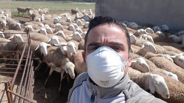 La ganadería ovina de Castilla-La Mancha se prepara para recibir el golpe del coronavirus