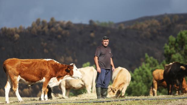 «Mercaproximidade», la nueva iniciativa de la Xunta para fomentar el producto agroganadero gallego