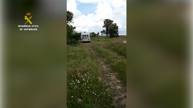 Localizadas dos mujeres en una autocaravana bajo un árbol donde anidaba un águila imperial en Fuensalida