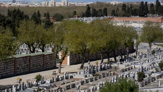 El Ayuntamiento adelanta la construcción de nichos en La Almudena y saca a concurso el proyecto