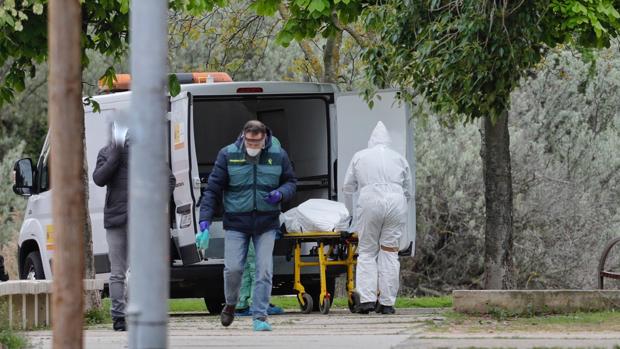 La autopsia revela heridas de arma blanca y golpes en la cabeza en el joven hallado muerto en Laguna de Duero