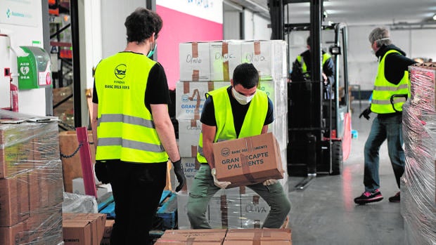 Relevo en las ONG: la pandemia rejuvenece la solidaridad con miles de «voluntarios del coronavirus»