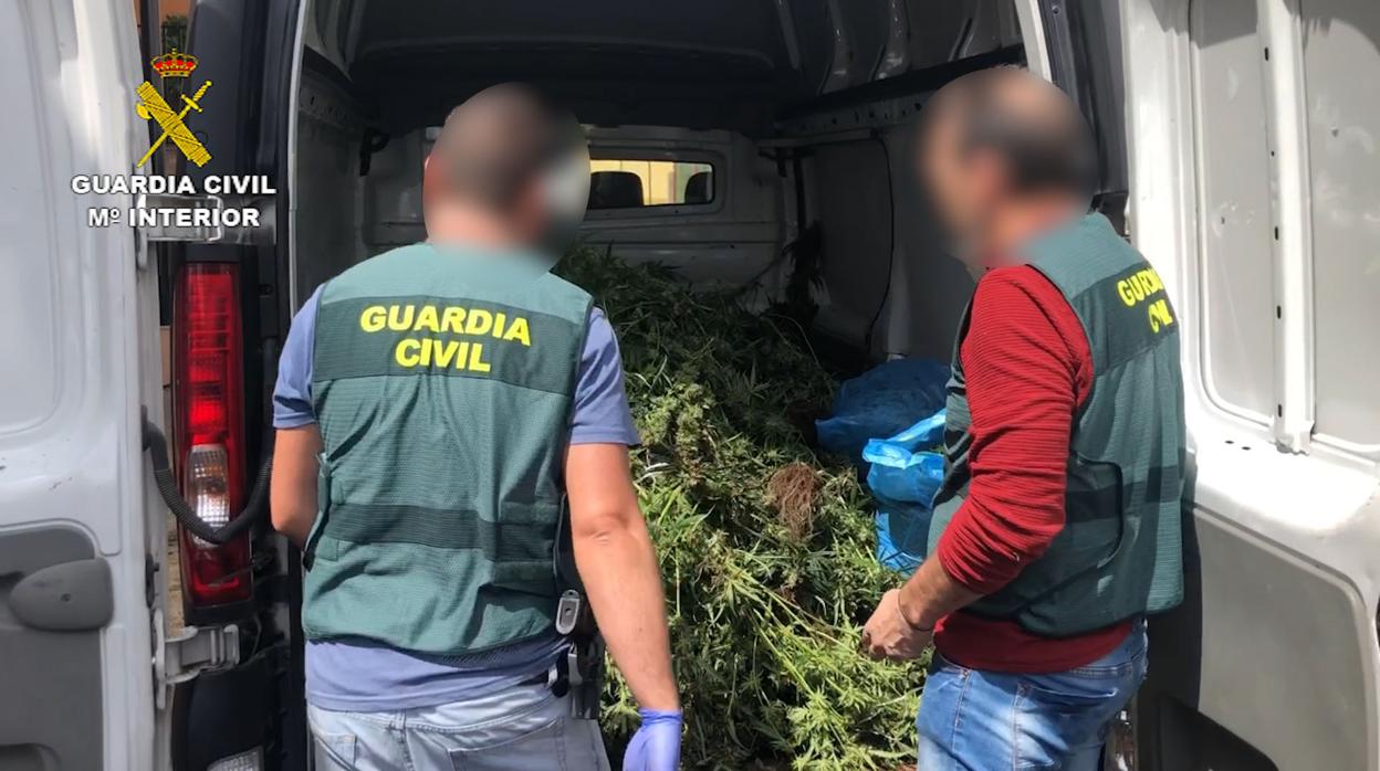 Guardia Civil incauta 210 kilos de marihuana