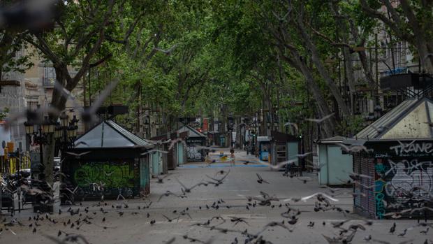 Convocan una manifestación contra el confinamiento a pesar del estado de alarma: «Están quitando derechos»