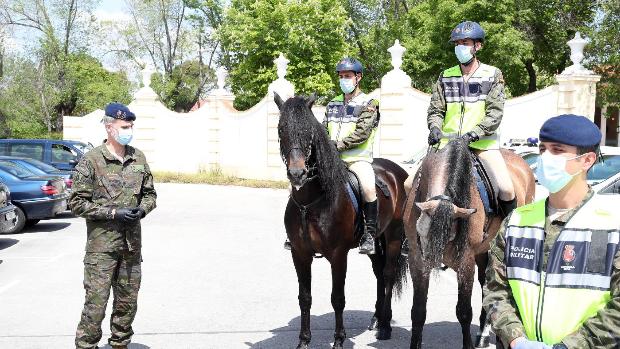 El Rey visita a la Guardia Real y a los policías y guardias civiles que envió a luchar contra la pandemia