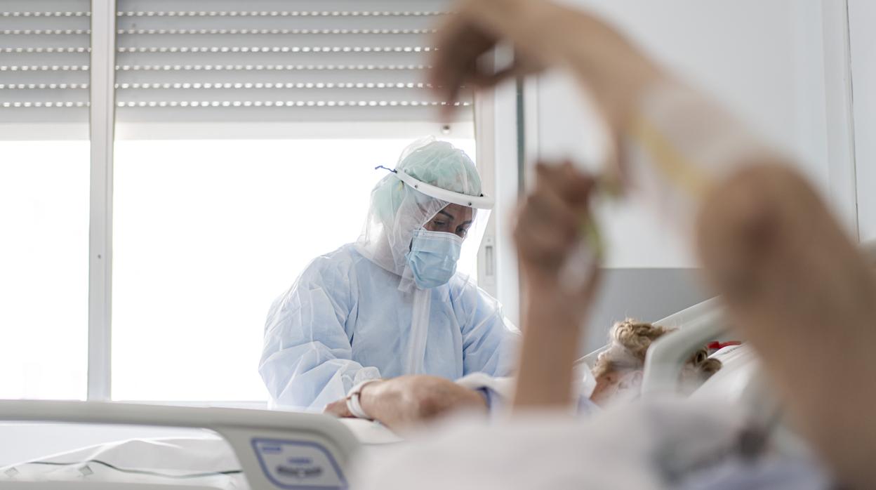 Imagen de un profesional sanitario atendiendo a paciente con coronavirus en le Hospital Arnau de Vilanova de Valencia