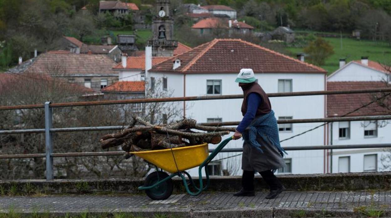 Mujer transportando una carretilla con leña en Beariz (Orense)