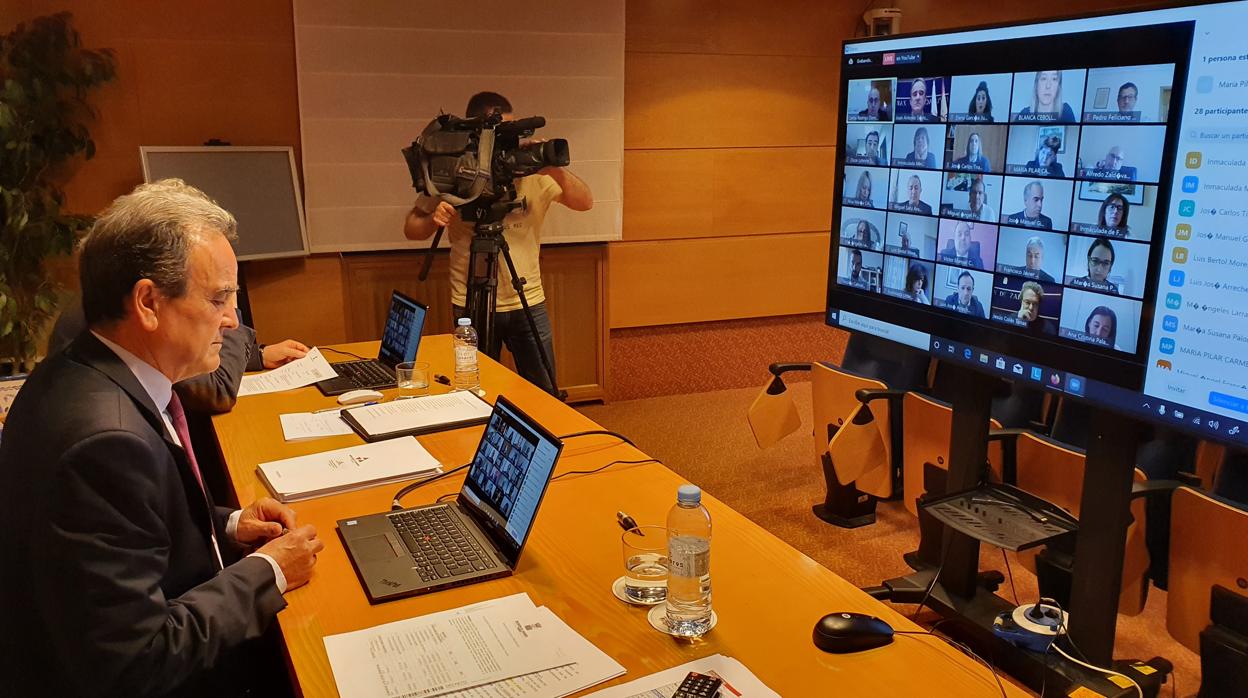 El presidente de la DPZ, Juan Antonio Sánchez Quero, durante el pleno provincial que se ha celebrado de forma telemática por el coronavirus