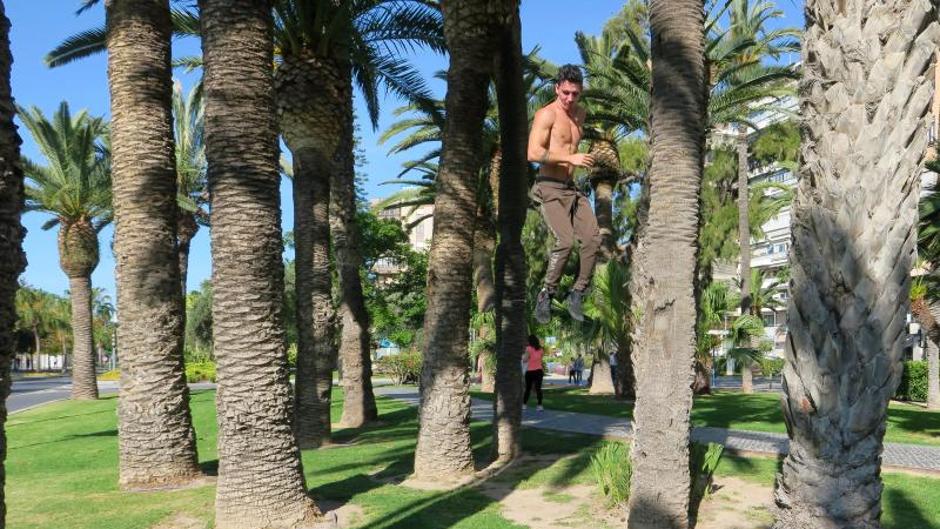 El vídeo de un acróbata de circo australiano entrenando con palmeras en Alicante