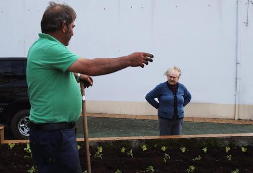 Fernando y María sobrellevan el confinamiento en O Vicedo trabajando en su huerta