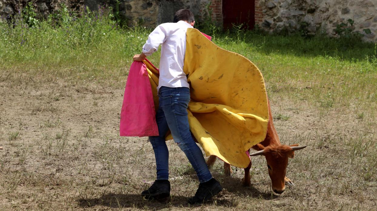 Los herraderos en ganaderías de bravo, una tradición que ni el coronavirus impide