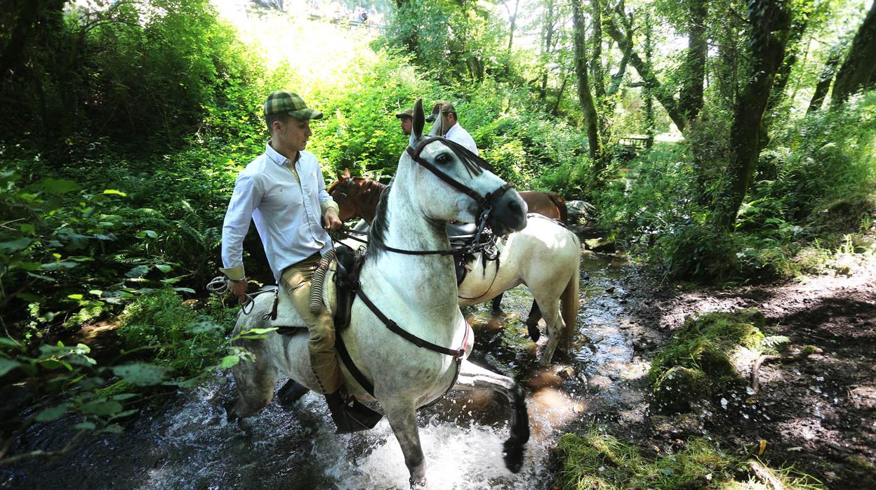 Uno de los participantes en la celebración de A Rapa das bestas de Sabucedo, Pontevedra