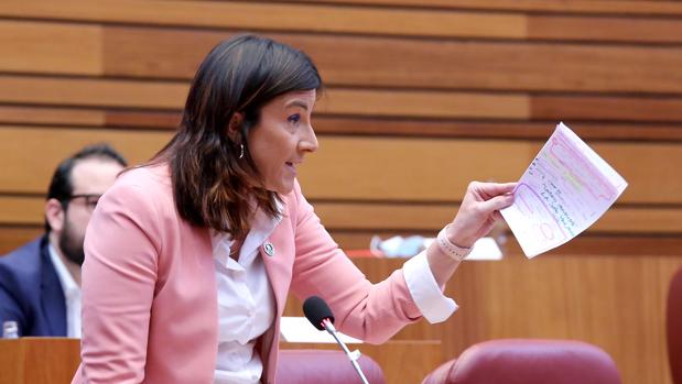 Una dirigente del PSOE compara a Díaz Ayuso con una «ameba»