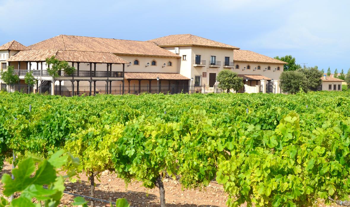 Edificio de Bodegas Sierra Norte en La Roda (Albacete), con el mar de viñas en primer plano