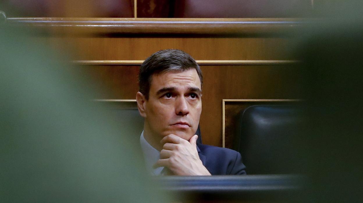 Pedro Sánchez, en el Congreso