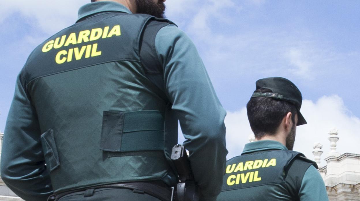 La investigación y las detenciones han sido practicadas por la Guardia Civil