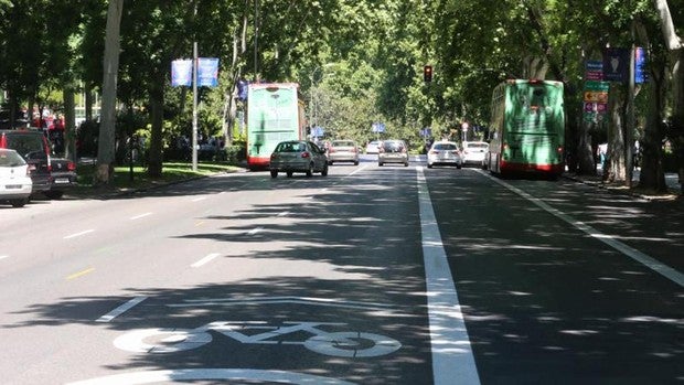 Madrid tendrá 45 kilómetros más de carril bus a partir de junio