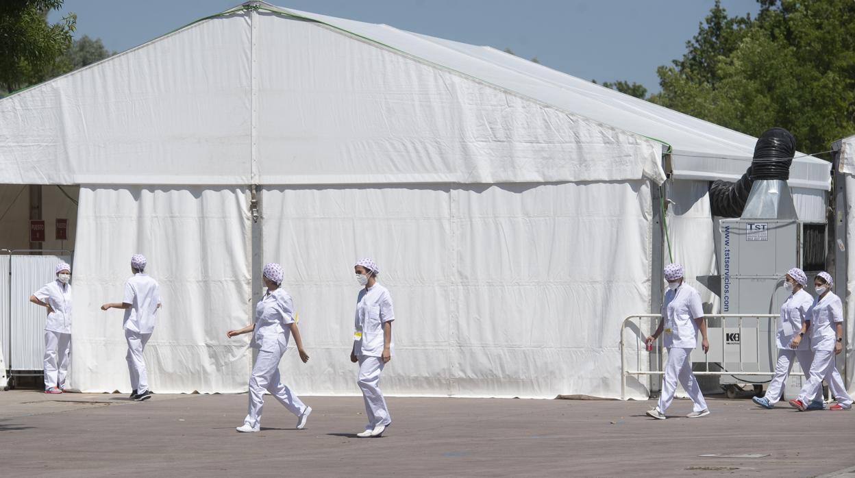 Técnicos y sanitarios, en las carpas instaladas en Torrejón para realizar las pruebas