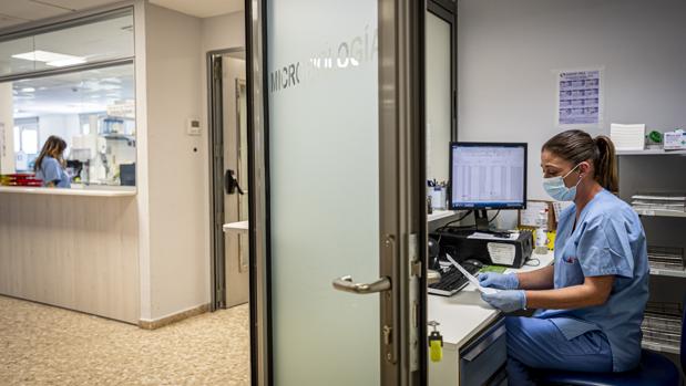 Fase 2 desescalada: el 3,21 % de los sanitarios de la Comunidad Valenciana se ha contagiado de coronavirus