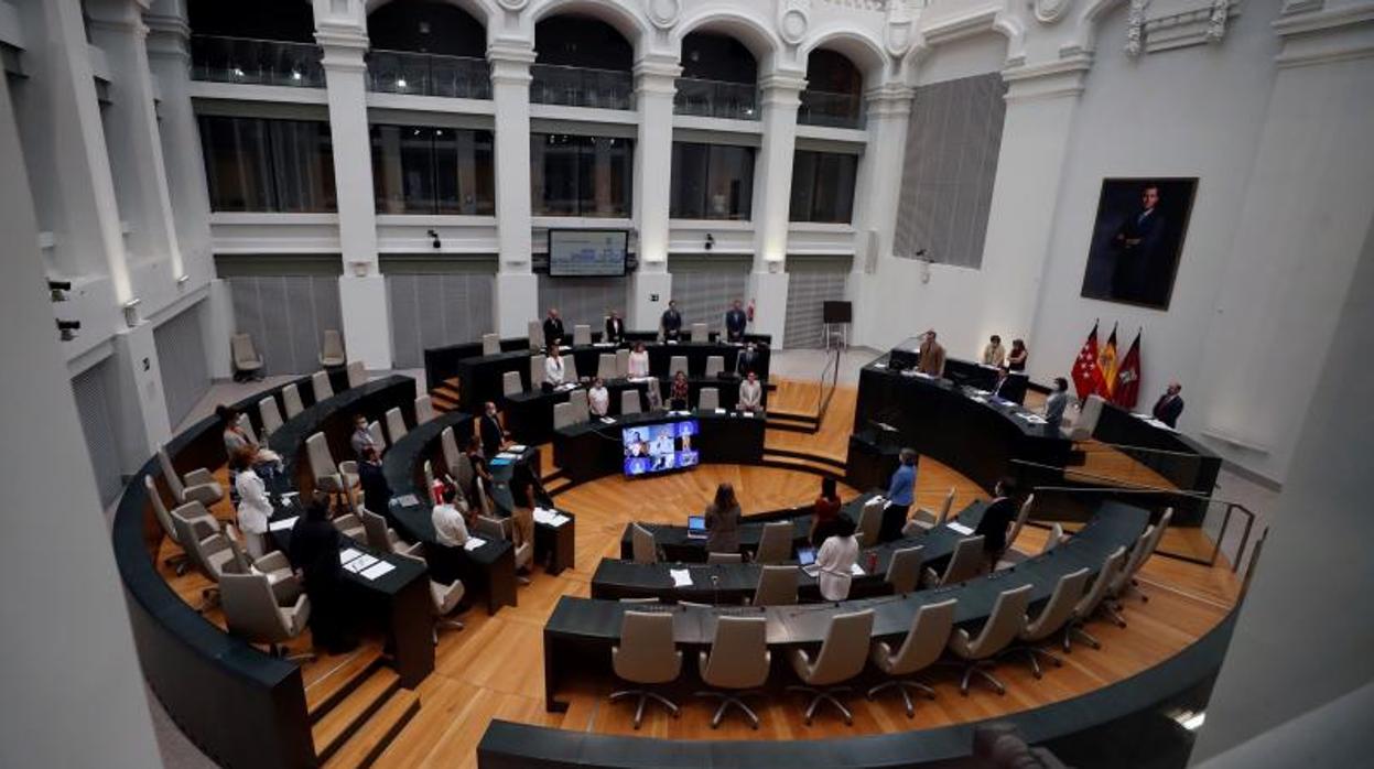 El pleno semipresencial celebrado este viernes en el Palacio de Cibeles