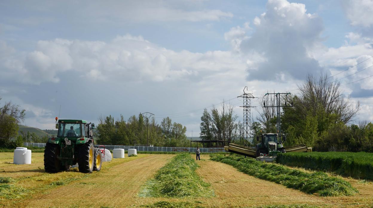 Castilla y León confía en la agricultura y su industria para amortiguar la recesión causada por el Covid-19