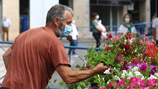 Castilla y León confirma cuatro nuevos positivos y registra cuatro muertos en hospitales en las últimas 24 horas