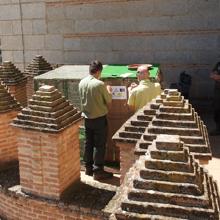 Llegada de los polluelos al Alcázar