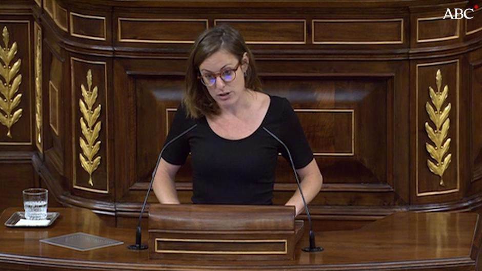 Las palabras de Vehí en el Congreso: «Si los señores Borbones pasan por el juzgado vamos a tener más recursos públicos»