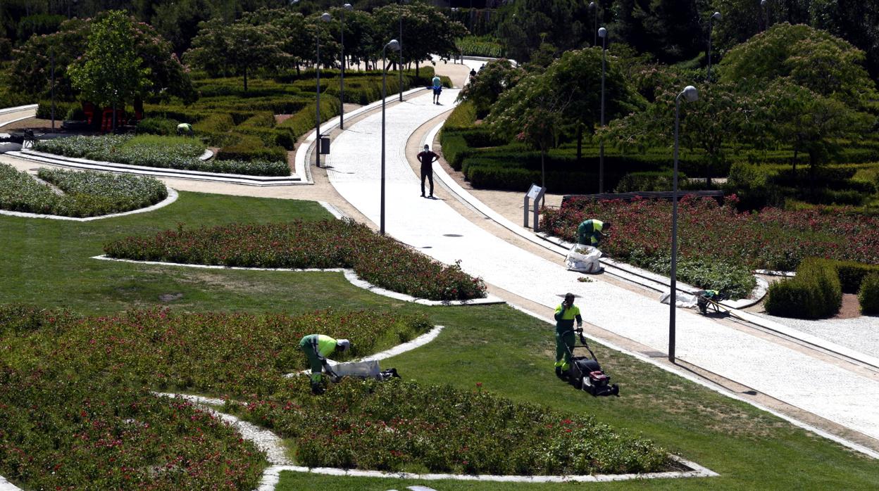 Operarios de limpieza trabajan, este martes, en las zonas verdes de Madrid Río