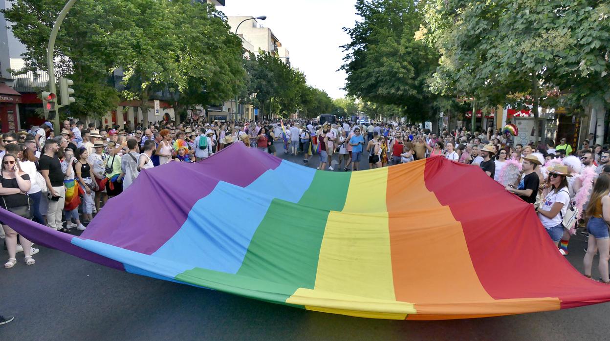 Una bandera arocirirs en una manifestación en Sevilla