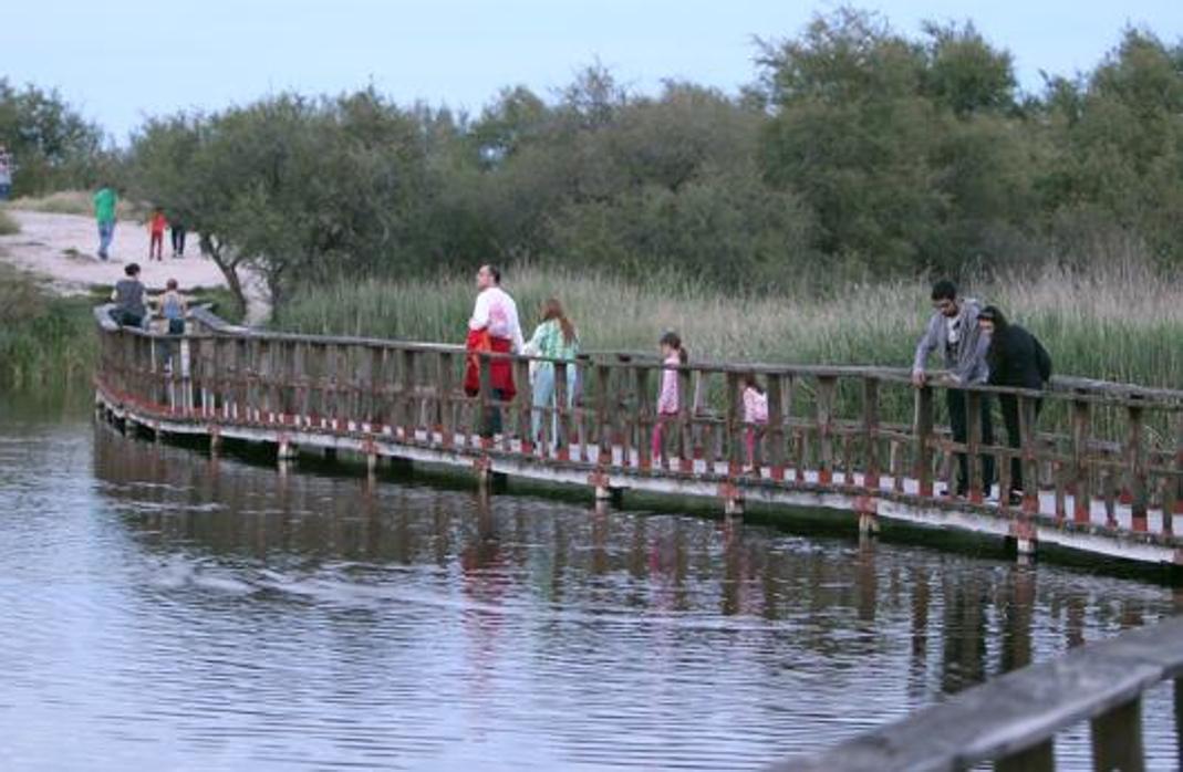 Imagen de archivo de visitantes en el Parque Nacional de las Tablas de Daimiel