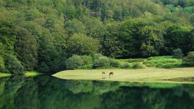 ‘¿Conoces el efecto Navarra?’, eslogan turístico de la Comunidad Foral