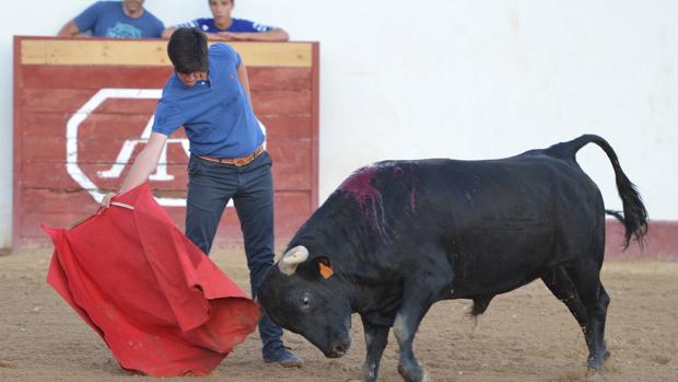 Esaú Fernández, tentadero en la finca El Lucero de Añover de Tajo