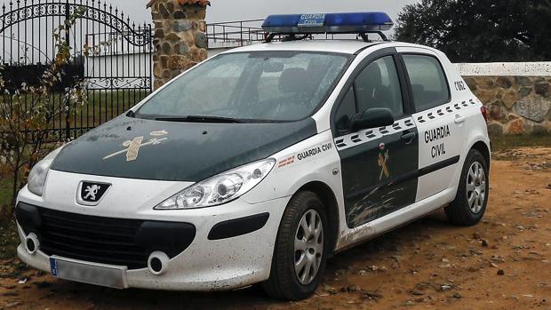 Desmanteladas cinco plantaciones de marihuana en Navasfrías (Salamanca)