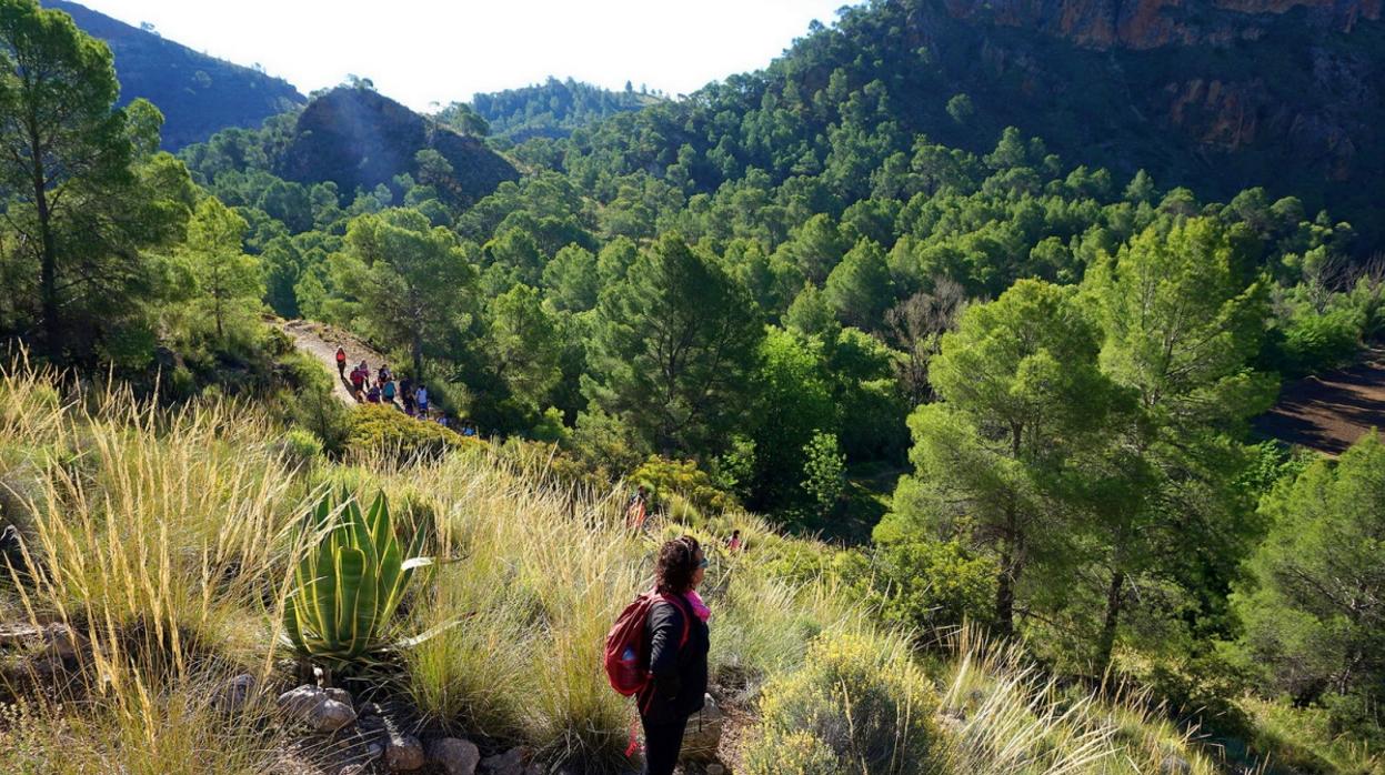 Barranco en el municipio de Elche de la Sierra (Albacete)