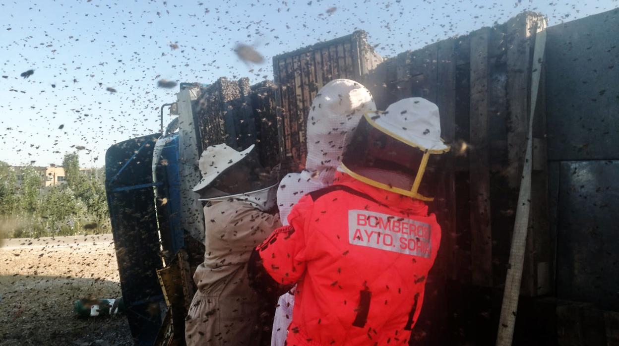 Panales de abejas en un camión volcado