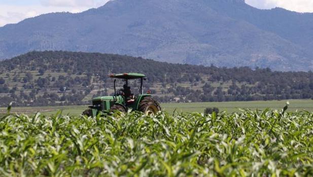 Apag, indignada con la Junta por los planes de ayudas a agricultores y ganaderos